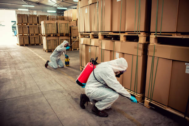 Best Best Pest Control Companies  in East Basin, UT