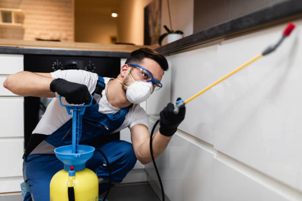 Best Pest Control for Homes  in East Basin, UT