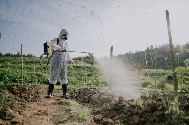 Best Local Pest Control Services  in East Basin, UT
