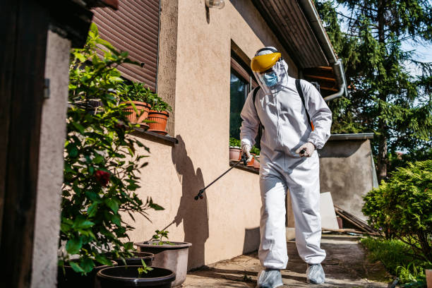 Best Best Pest Control Companies  in East Basin, UT
