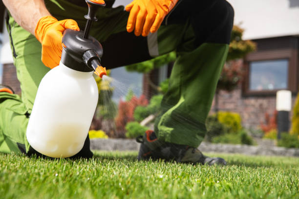 Wildlife Control Services in East Basin, UT