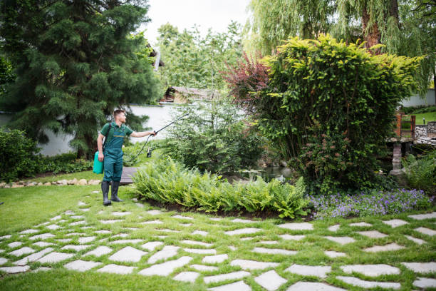 Best Mosquito Control Services  in East Basin, UT