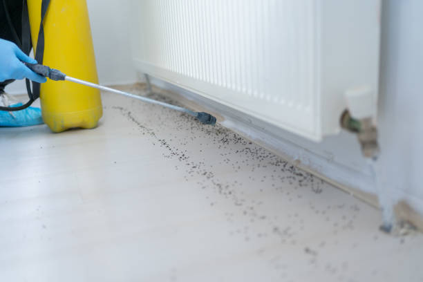 Best Residential Pest Control  in East Basin, UT